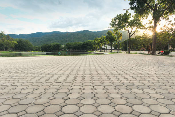  Carnesville, GA Driveway Pavers Pros